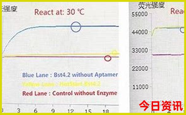 新奥天天全新下载全年全新热议免费方法大全-2025澳门今晚开奖结果